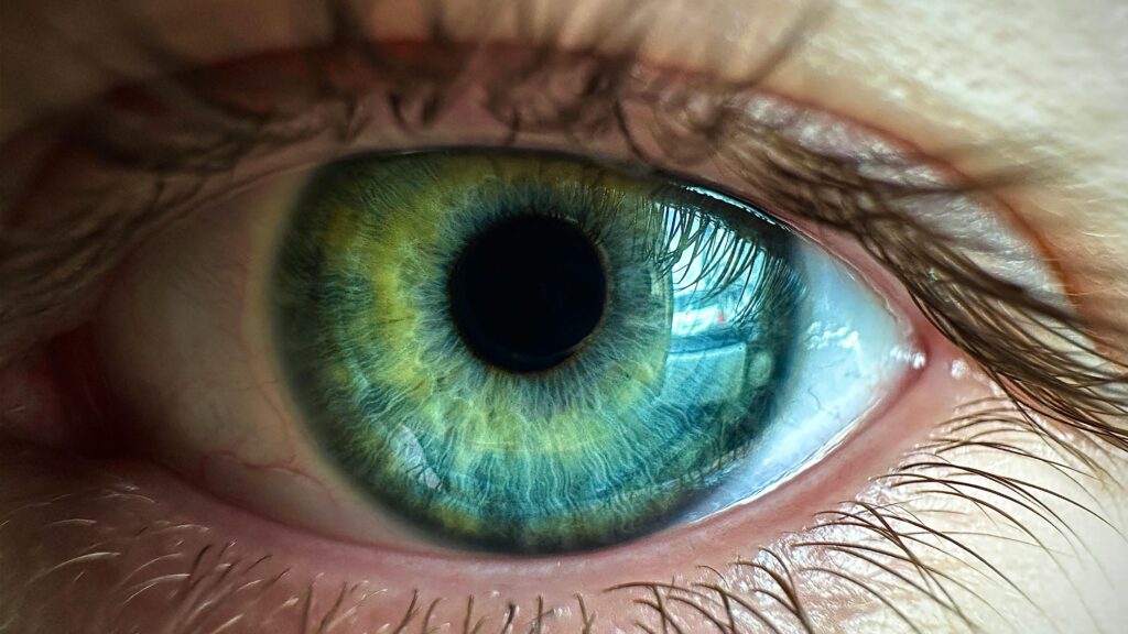 The Eye of Providence in Freemasonry